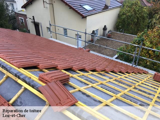 Réparation de toiture Loir-et-Cher 