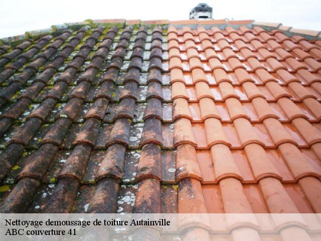 Nettoyage demoussage de toiture  autainville-41240 ABC couverture 41