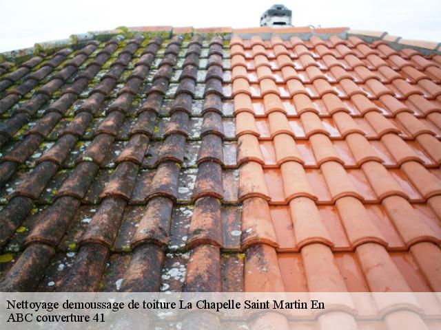 Nettoyage demoussage de toiture  la-chapelle-saint-martin-en-41500 ABC couverture 41