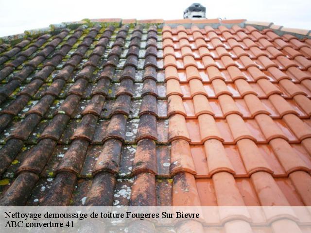 Nettoyage demoussage de toiture  fougeres-sur-bievre-41120 ABC couverture 41