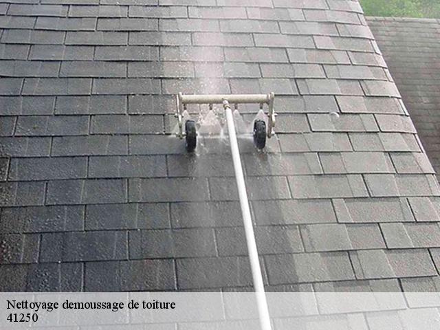 Nettoyage demoussage de toiture 41250