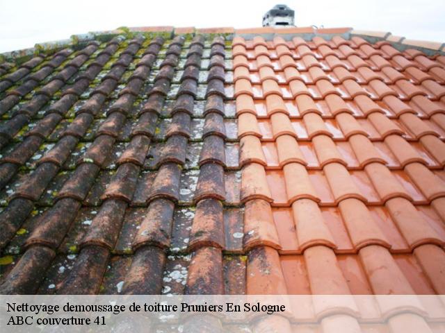 Nettoyage demoussage de toiture pruniers-en-sologne-41200 ABC couverture 41