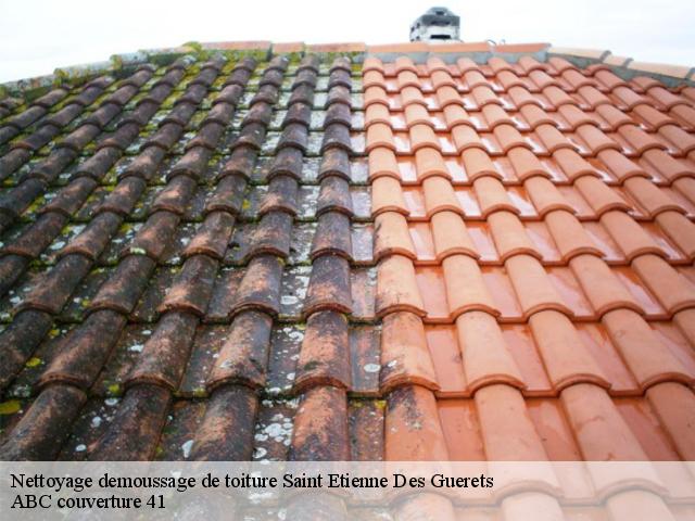 Nettoyage demoussage de toiture  saint-etienne-des-guerets-41190 ABC couverture 41