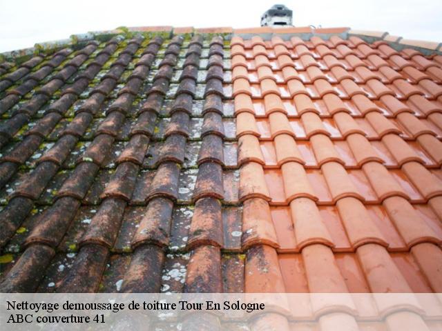 Nettoyage demoussage de toiture  tour-en-sologne-41250 ABC couverture 41