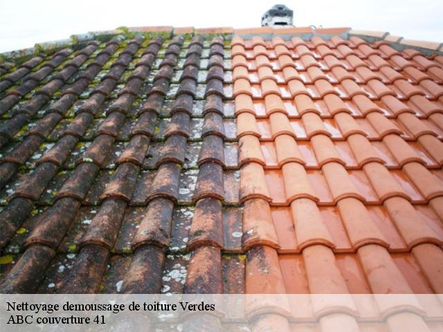 Nettoyage demoussage de toiture  verdes-41240 ABC couverture 41