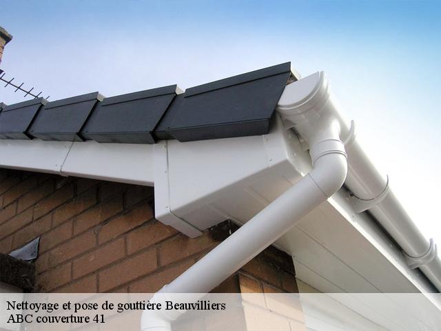 Nettoyage et pose de gouttière  beauvilliers-41290 ABC couverture 41