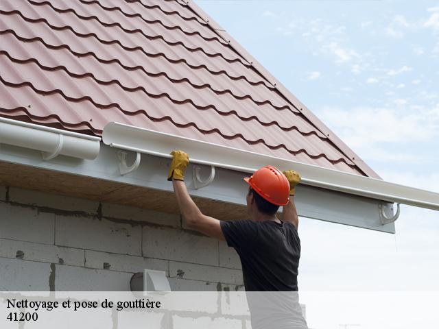 Nettoyage et pose de gouttière 41200