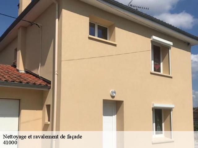Nettoyage et ravalement de façade 41000