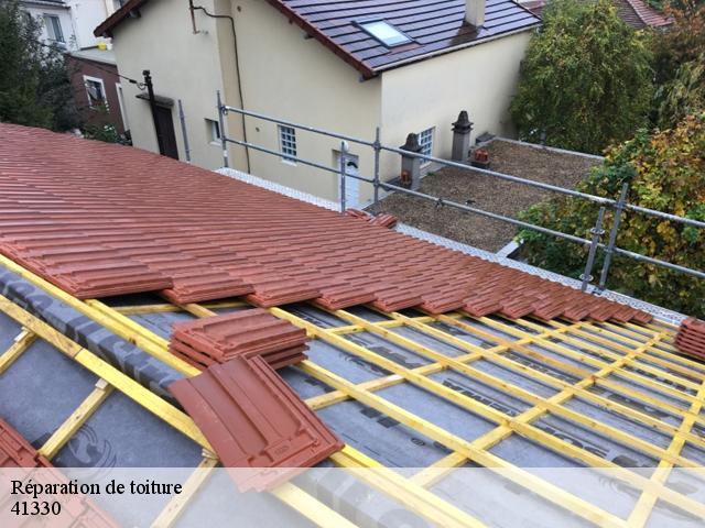 Réparation de toiture 41330