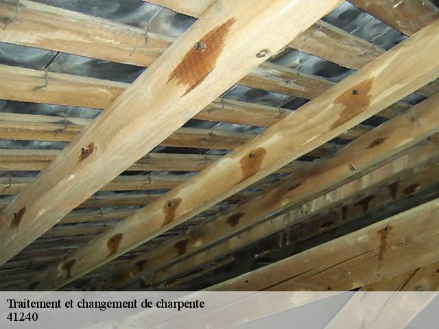 Traitement et changement de charpente 41240