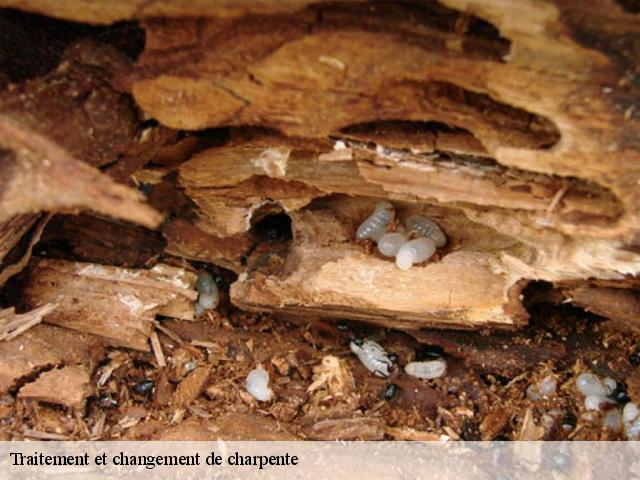 Traitement et changement de charpente