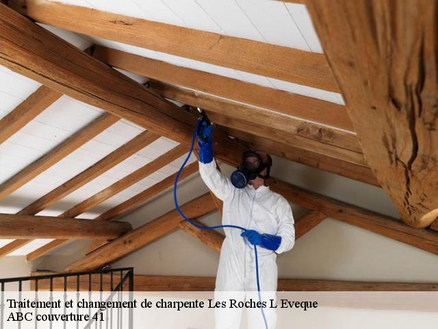 Traitement et changement de charpente  les-roches-l-eveque-41800 ABC couverture 41